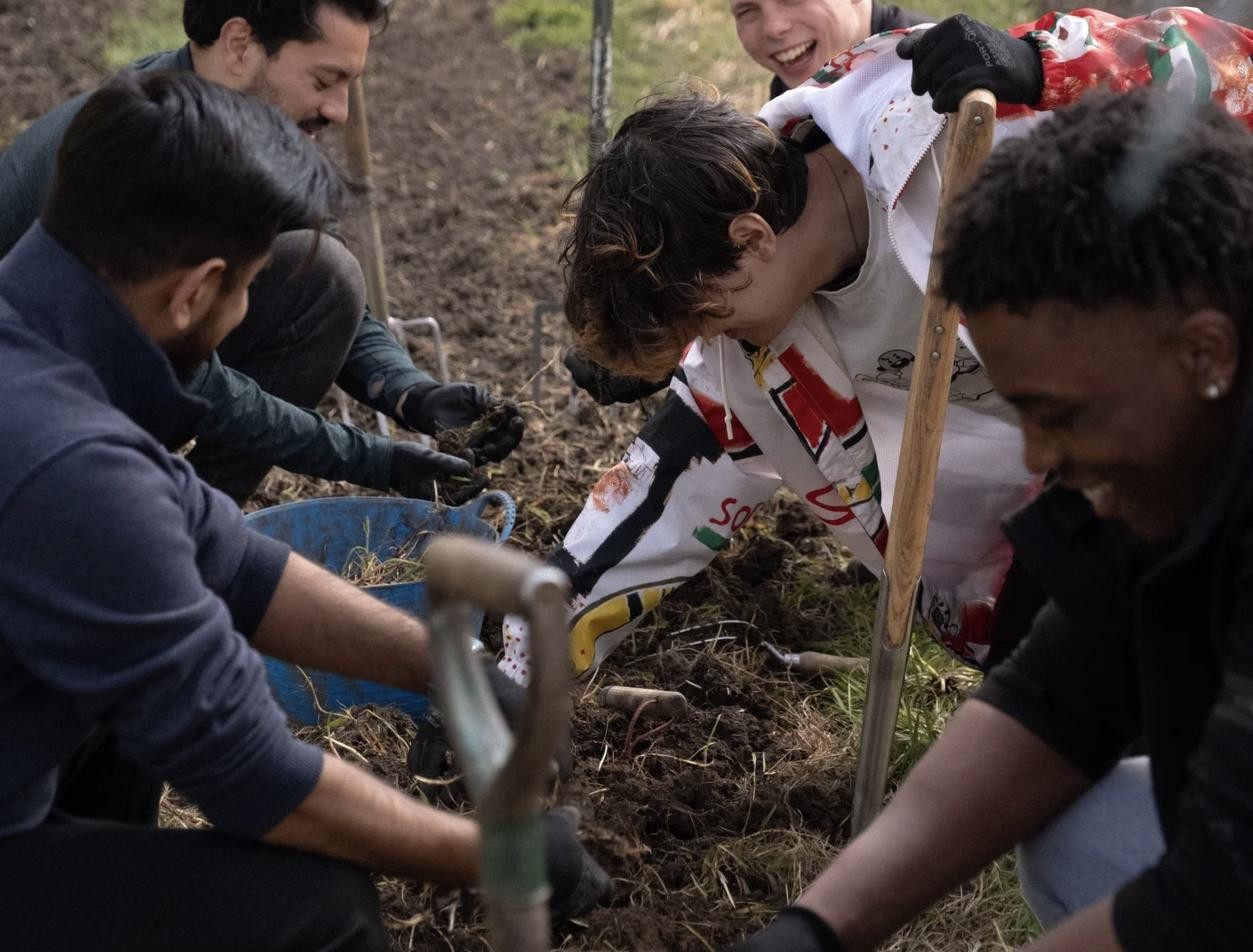 A corporate volunteering team planting at GROW, the community farm in Barnet