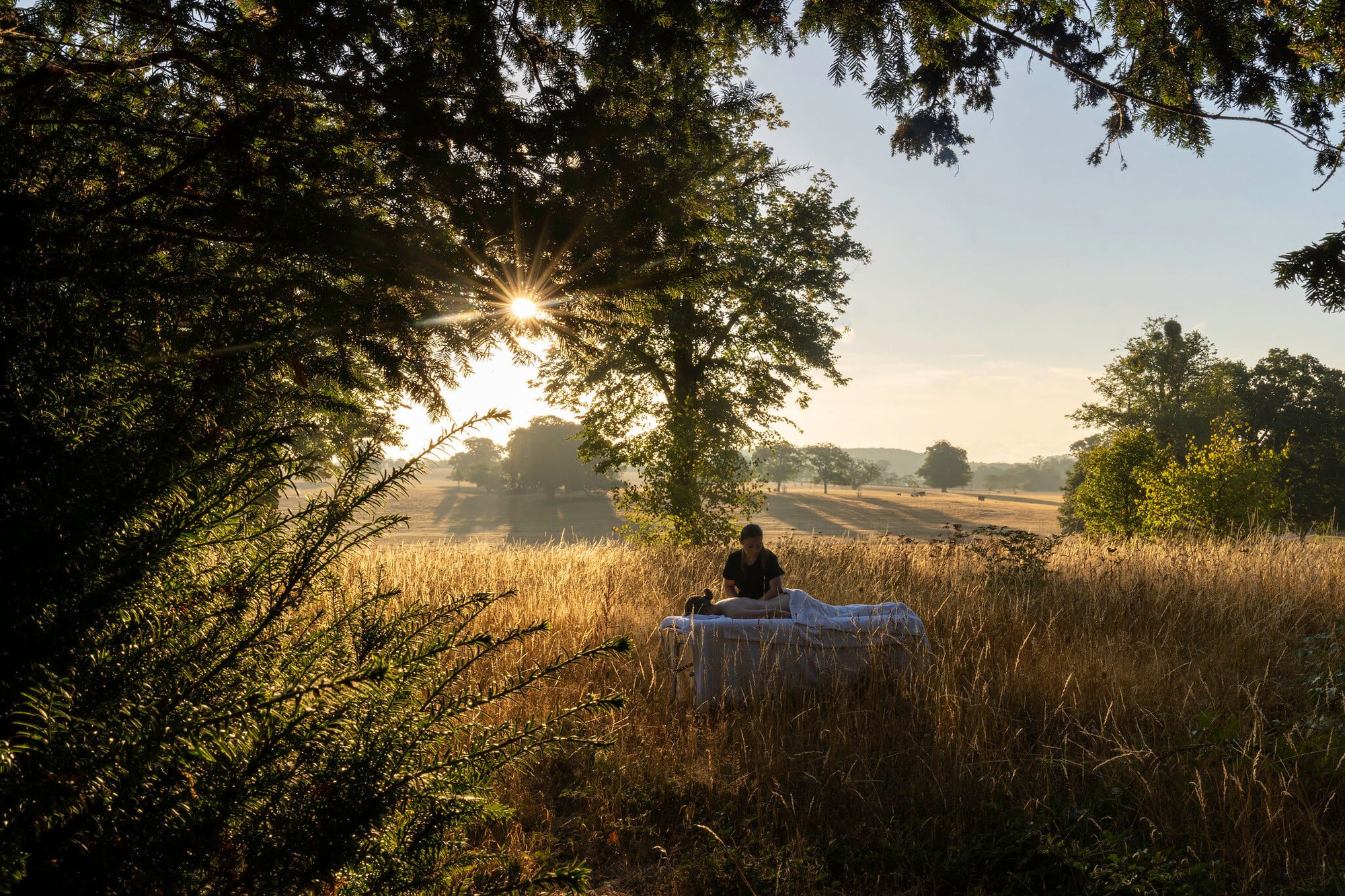 A quiet spot in the meadow at Wilderness Reserve at sunrise